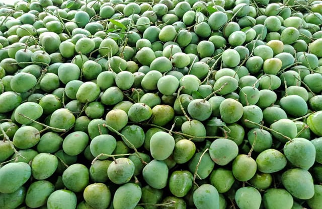 গোবিন্দভোগ আম (10 KG) - Image 3